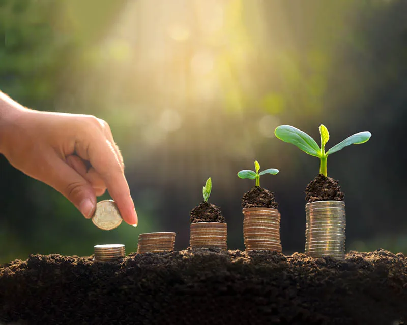 Horyal Humanitarian Foundation